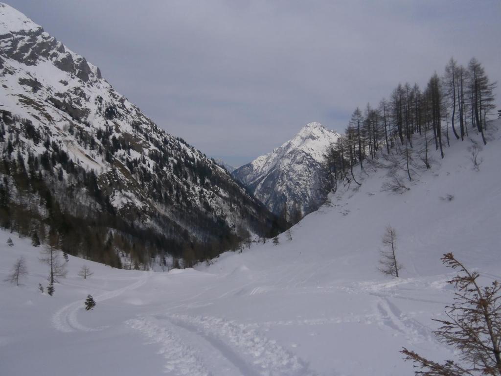 Gasthof Untere Valentinalm Hotel Plocken ภายนอก รูปภาพ